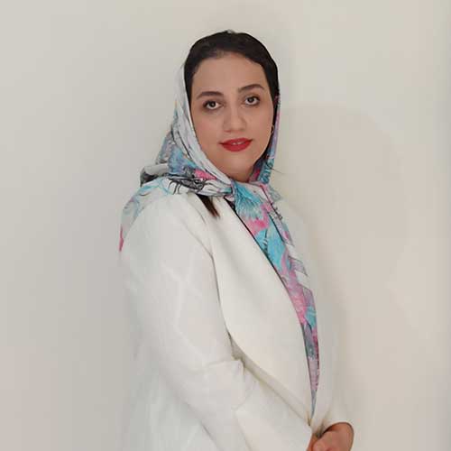 کارشناس سئو در روناک سایت